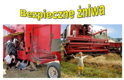 Bezpieczne Żniwa