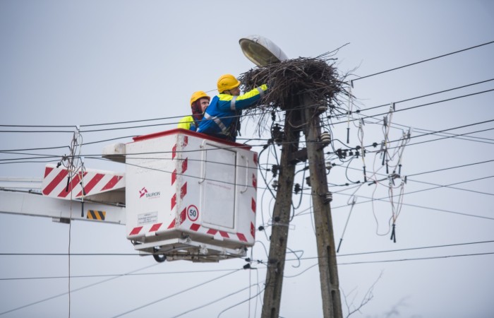 zdjęcie energetyków naprawiających gniazdo bocianie