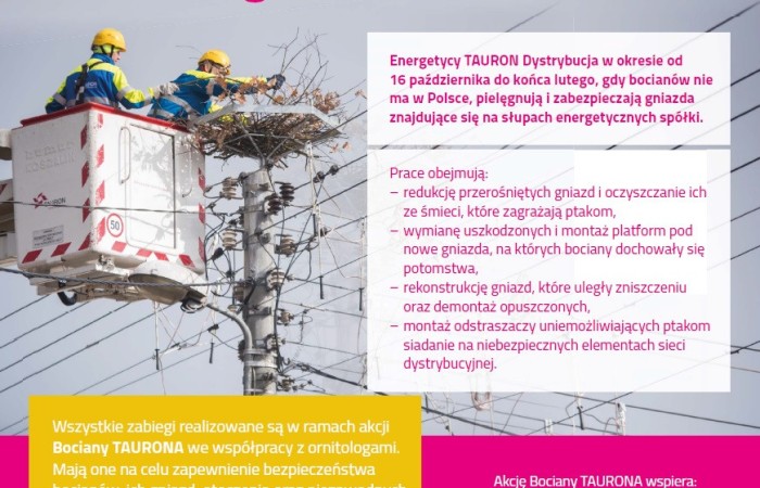 Zdjęcie plakatu - Bociany Taurona